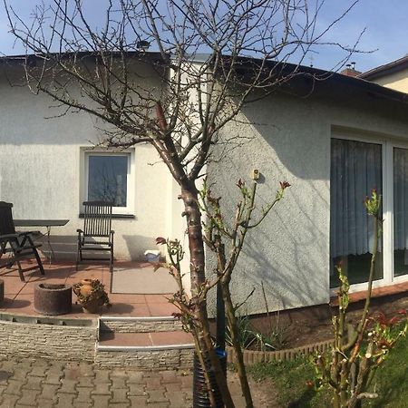 Ferienhaus Auf Usedom Zinnowitz Exterior foto